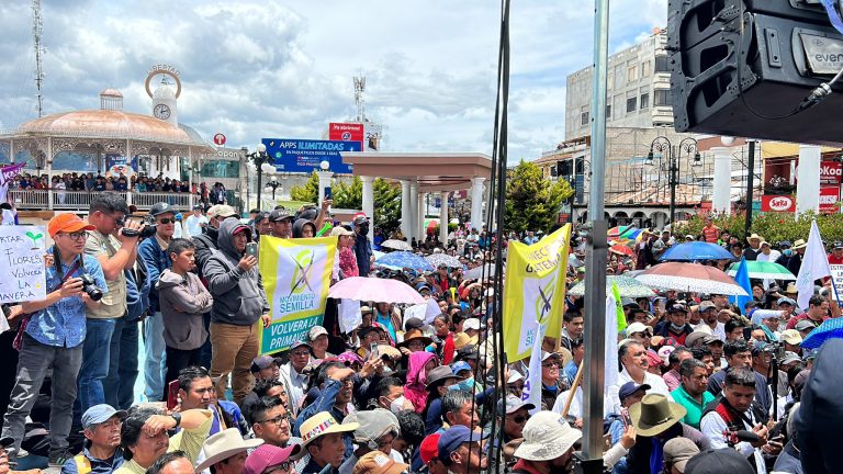 Manifestaciones Movimiento Semilla