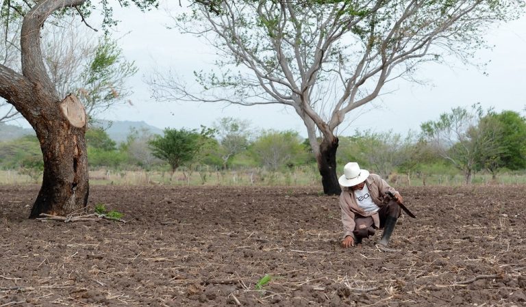 Fincas ganaderas en la zona seca de Boaco