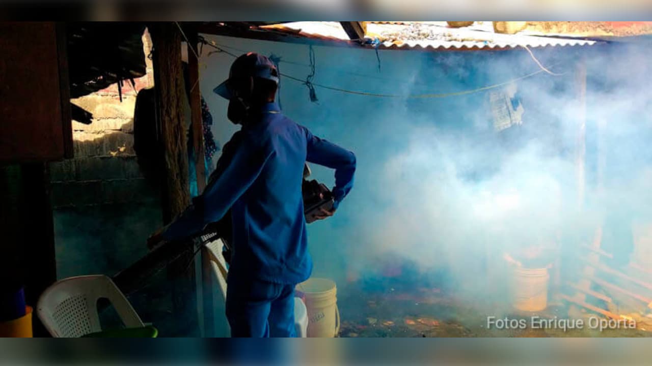 fumigación contra el dengue