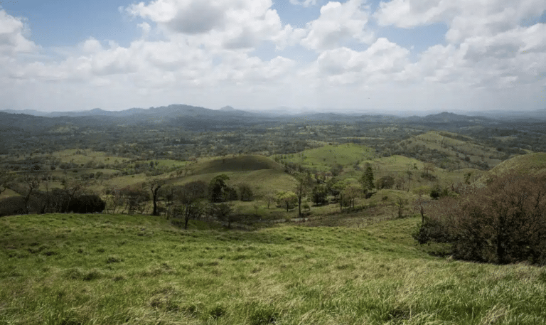 Deforestation in Nicaragua.